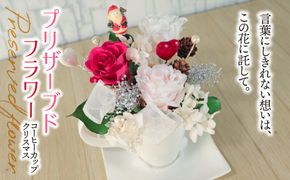 AN-13a ブリザーブドフラワー コーヒーカップ クリスマス
