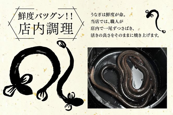店内調理 ｢お魚屋さんのうなぎ蒲焼き｣【うなぎ 鰻 ウナギ 国産 蒲焼き おかず 魚 特製ダレ 鮮度バツグン】 (H032148)