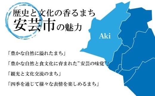 文旦 フレッシュ ジュース 2本セット 果汁 100％ ぶんたん 土佐文旦 高知県 柑橘 みかん 国産 ストレート ギフト 贈答用 720ml 2本 高知特産 フルーツジュース 濃厚 香り 甘味 苦み 農家直送 瓶詰め 果実本来 味 風味 太陽 南国 返礼品 安芸市 高知県