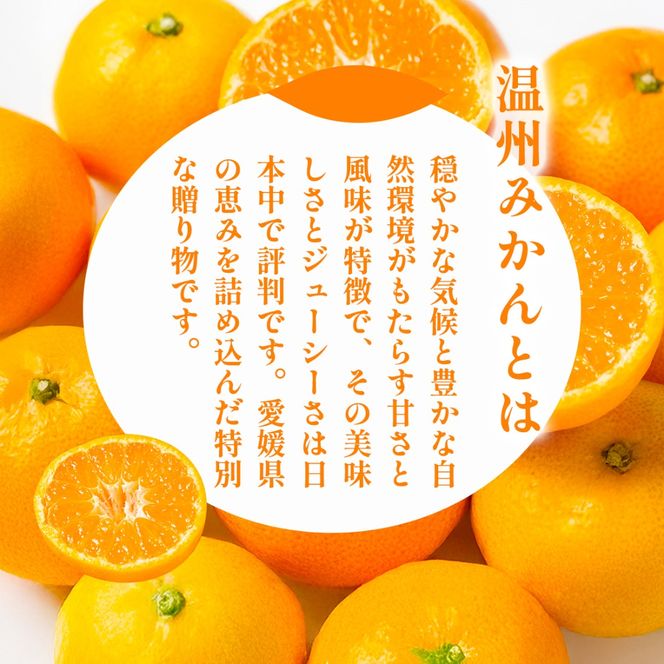 【先行予約】浅野農園の温州みかん 家庭用計5kg ※離島への配送不可（2026年12月上旬～12月中旬頃に順次発送予定 ）IKTAC004