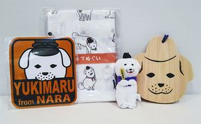 雪丸の願いふだセット 雑貨 日用品 