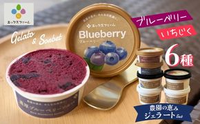 甘熟いちじくとブルーベリーのプレミアムジェラートセット 各1個 碧南市産 甘熟 いちじく 完熟 ブルーベリー 贅沢 スイーツ デザート おやつ カップ 6種 食べ比べ チーズ ミルク ヨーグルト H164-021