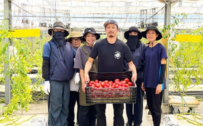 糸島産高糖度トマトで作る ストレートトマトジュース 2本セット 糸島市 / かわぞえ農園 トマト トマトジュース[AAM009]