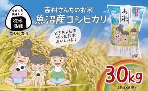 ｜従来品種｜ 魚沼産 コシヒカリ 5kg ×6袋 計30kg 米 こしひかり お米 コメ 新潟 魚沼 魚沼産 白米 送料無料 新潟県産 精米 産直 農家直送 お取り寄せ 吉村さんちのお米 新潟県 十日町市 モチモチ 