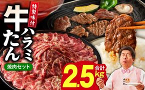 099Z446 【定期便】牛タン＆牛ハラミ 総量 2.5kg 焼肉セット【成型牛たん ハラミ 牛肉 焼肉用 薄切り 訳あり サイズ不揃い 2026年1月＆4月発送 全2回】