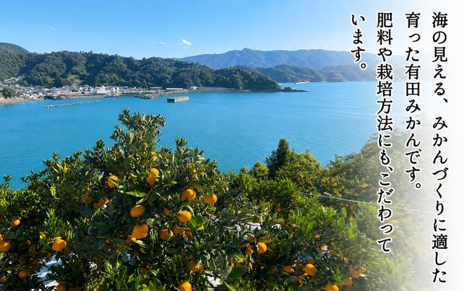 家庭用 有田みかん 和歌山 訳あり わけあり 大玉(2L,3Lサイズ混合) 約4.5kg【11月上旬～1月下旬頃に順次発送】/ みかん フルーツ 果物 くだもの 有田みかん 蜜柑 柑橘【ktn011A】