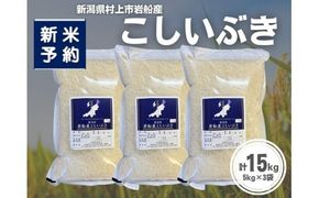 【新米受付・令和8年産米】新潟県村上市岩船産 こしいぶき15kg（5kg×3袋）1099006N