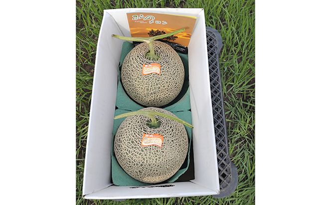 【2026年7月～発送】北海道 富良野市 ふらの赤肉 メロン 2玉 計 約4kg (中島農園) メロン フルーツ 果物 新鮮 甘い 贈り物 ギフト 道産 ジューシー おやつ ふらの ブランド 夏 