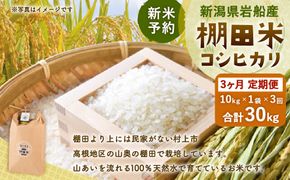 【新米予約・令和8年産米】【定期便：3ヶ月連続でお届け】新潟県村上市岩船産 棚田米コシヒカリ 10kg×3ヶ月　1011005N