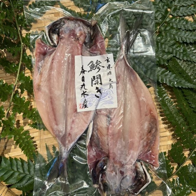 大島ひものセット【海神（わだつみ）】_HA2002 干物 ひもの 鯵 鰯 あじ いわし 福岡県宗像市 宗像市 福岡 宗像