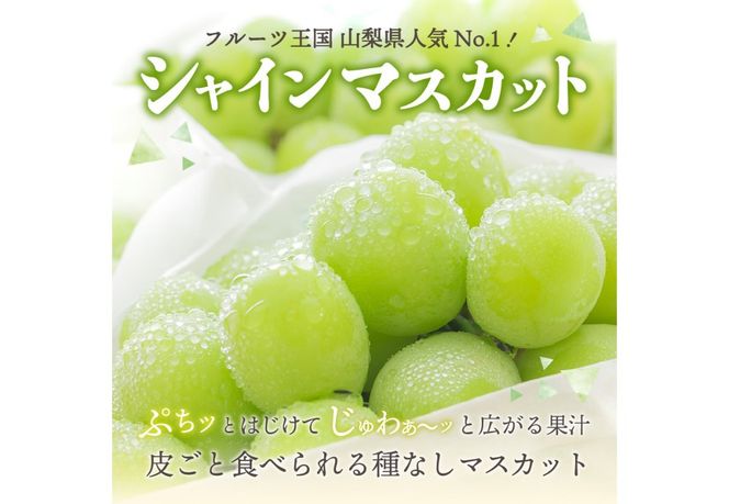 【2026年先行予約】山梨県産 シャインマスカット約1㎏（2～3房）  シャインマスカット ぶどう シャイン 山梨県産 フルーツ 果物 産地直送 数量限定 山梨 富士吉田 フルーツ 富士吉田市