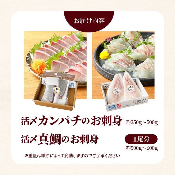 延岡産活〆カンパチと真鯛の新鮮お刺身セット　N019-YB435
