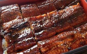 三河一色産 鰻の蒲焼き 1尾 180g以上 うなぎ処はちすか 国産 日本料理 うなぎ 蒲焼 白焼き 真空 冷蔵 大きい うな丼 うな重 ひつまぶし　H026-035