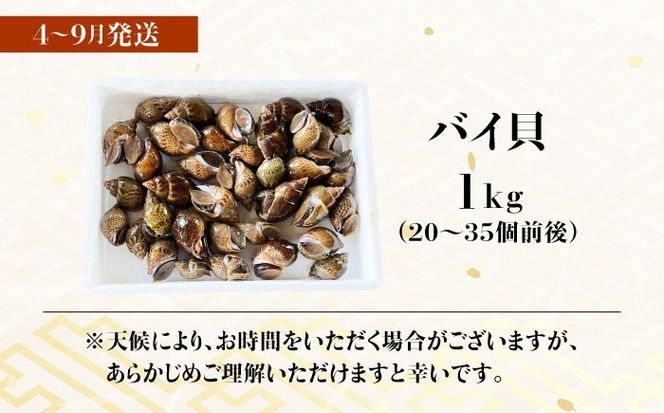 【先行予約】【2026年8月以降順次発送】豊前海産 バイ貝 1kg (20～35個前後)  《築上町》【明青丸】 バイガイ 貝 カイ[ABCB004]