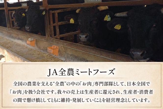 牛肉 博多和牛 肩ロース 焼肉用 スライス 各400g 計800g [JA全農ミートフーズ 福岡県 筑紫野市 21761315] 肩ロース ロース 焼肉 焼き肉 牛 冷凍 和牛 肉 小分け 詰め合わせ