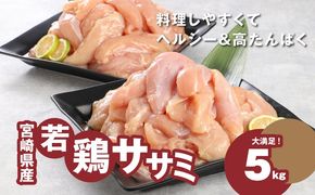 宮崎県産若鶏ささみ　1kg×5パック　 K16_0045_2