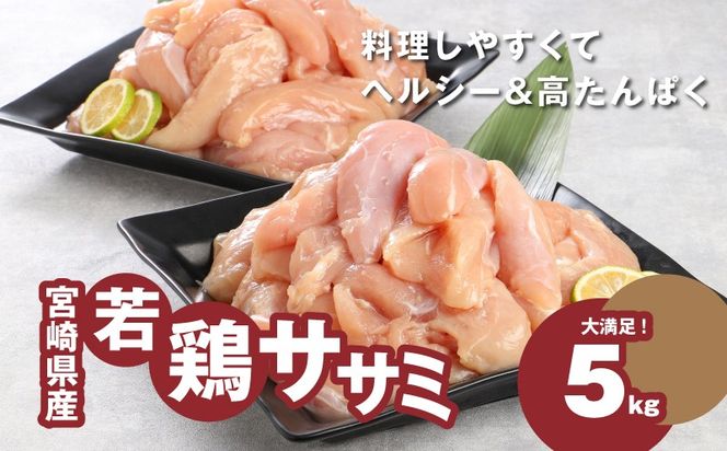 宮崎県産若鶏ささみ　1kg×5パック　 K16_0045_2