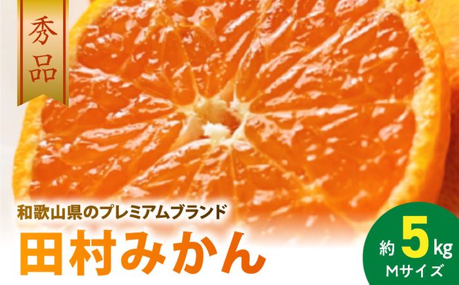 AB7307_【2026年先行予約】プレミアムブランド 田村みかん Mサイズ 秀品 約5kg  和歌山県産 蜜柑 ミカン フルーツ 果物 ギフト お歳暮 完熟