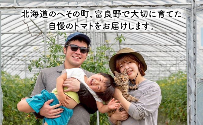 【2026年7月～発送】訳あり 富良野産 採れたて直送! ミニトマト キャロル10 【約3kg】 (清水farm) トマト ミニトマト とまと 野菜 新鮮 甘い 季節限定 北海道 富良野 ふらの