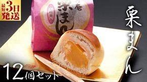 スピード発送!! 栗まんじゅう 12個セット 栗 くり まんじゅう 饅頭 和菓子 おやつ おかし お菓子 スピード発送 スピード配送 [AO020ci]
