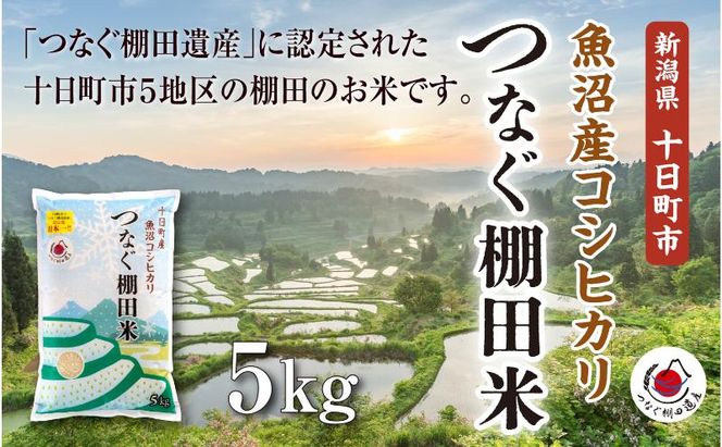 【令和8年産 先行予約】精米5kg　産新潟県十日町市魚沼産コシヒカリ「つなぐ棚田米」 米 こしひかり 精米 十日町市