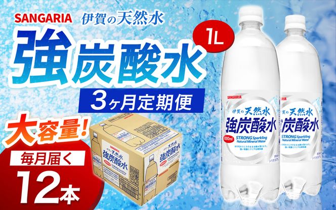 【3ヶ月定期便】サンガリア　伊賀の天然水　強炭酸水　1ケース（1L×12本）【igge-tkb0010】