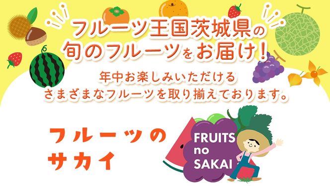 ＼選べる内容量・発送方法／ シャインマスカット 約1.3kg ～ 5kg （約2房～12房）単品（1回）・定期便（3回・6回）　　【定期2026年8月、単品9月より発送開始】（茨城県共通返礼品 [ぶどう]：結城市産） 葡萄 マスカット 旬 お取り寄せ フルーツ 種なし 皮ごと 甘い デザート