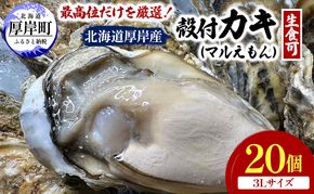 北海道 厚岸産 ブランド牡蠣 マルえもん 殻付き 牡蠣 3Lサイズ 20個 【光輝】 [ 魚貝類 生牡蠣 海鮮 海の幸 生食用牡蠣 生食用 生食用殻付き牡蠣 濃厚 甘み  オイスター ]  