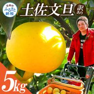 【CF-R7hbk】【先行予約】“高知県産”ワケあり土佐文旦（※シミ・キズあり）5kg・サイズおまかせ
