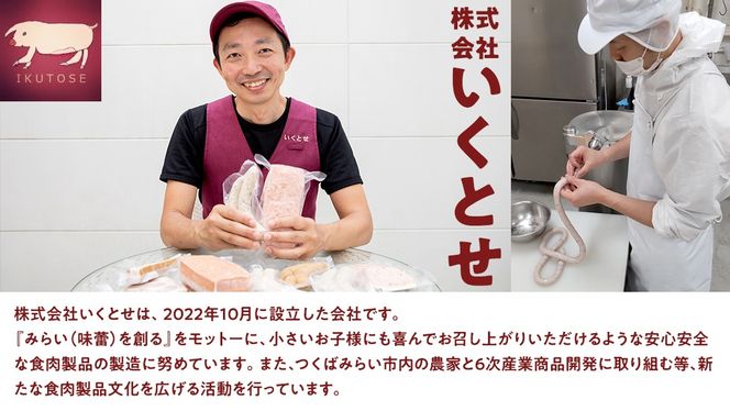 【2026年4月より順次出荷】国産 豚 ソーセージ 職人が作る 無塩せき ソーセージ3種 と つくね セット いくとせ 無塩せき プレゼント 内祝 BBQ キャンプ ウインナー おかず おつまみ 食品 粗挽き 焼き 機内食 ドイツ 職人 厳選 酒 米 肉 詰め合せ セット お試し 食べ比べ 詰め合わせ