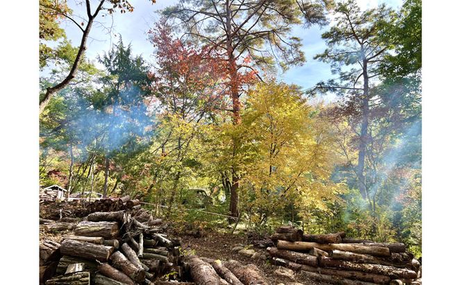 癒しの森で焚き火と焼き芋体験（1名様分）～「町に近い森」がある小諸にて　体験 チケット 自然 リフレッシュ