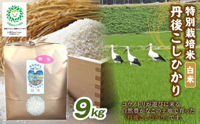 【3ヶ月定期便】令和8年産 丹後こしひかり 白米9kg 【特別栽培米】新米　KU00108