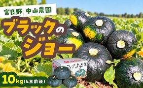 【2026年10月発送】富良野市産 かぼちゃ「ブラックのジョー」 10kg (中山農園) 野菜 南瓜
