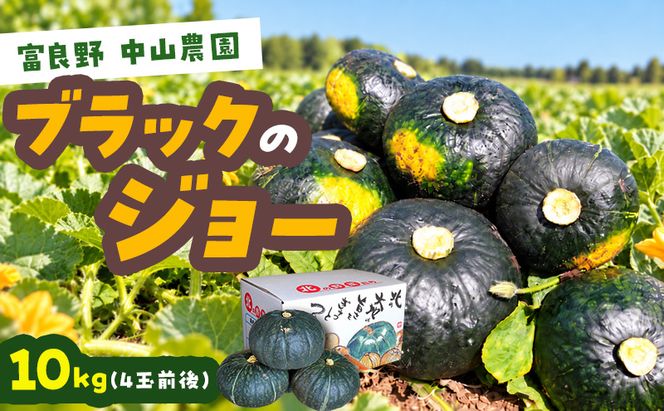 【2026年10月発送】富良野市産 かぼちゃ「ブラックのジョー」 10kg (中山農園) 野菜 南瓜