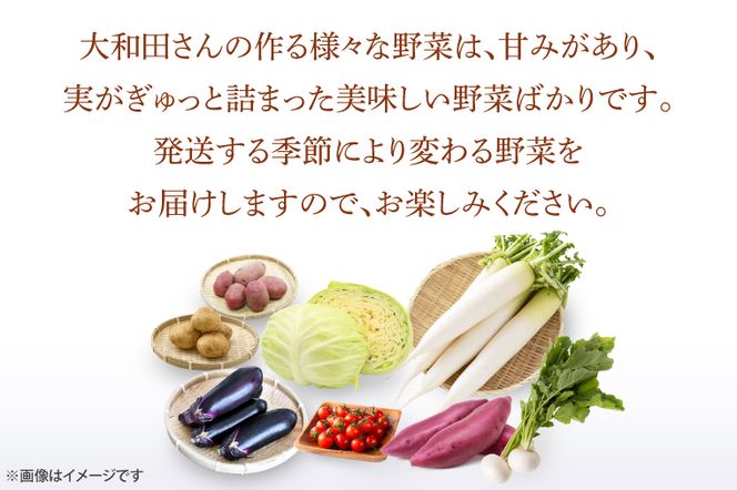 CN-7 【6ヶ月定期便】 夢見るじっちが作る季節の野菜セット 6～10種類入り1箱