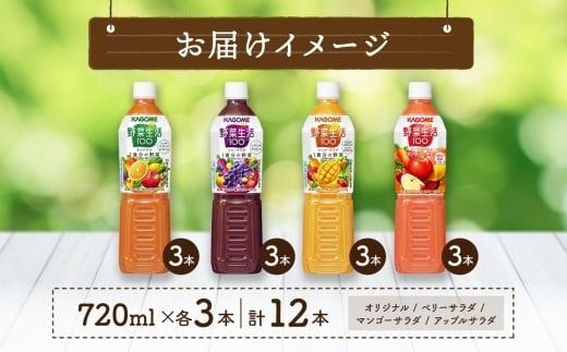 ns038-016　カゴメ 野菜生活100 飲み比べセット スマートPET 720ml  4種 各3本 計12本 オリジナル ベリーサラダ マンゴーサラダ アップルサラダ 野菜 果実 ミックスジュース 野菜ジュース フルーツジュース 果物 フルーツ 飲料 お取り寄せ KAGOME 送料無料 那須塩原市