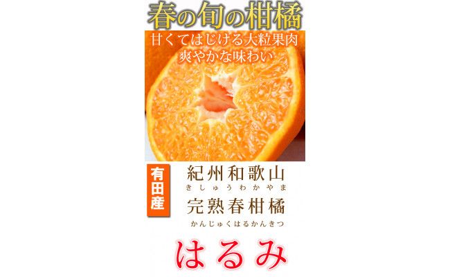 果肉ぷりぷり!完熟はるみ 5kg