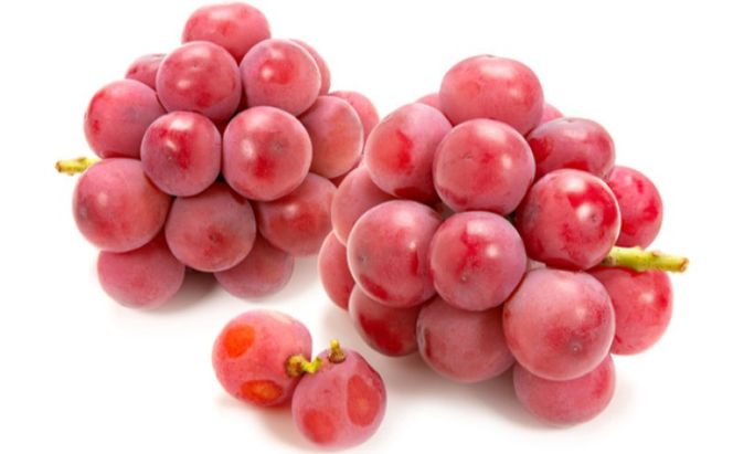 ぶどう 【2026年 早期受付】 ぶどうセット シャインマスカット 1房・ クイーンニーナ 1房（合計約1kg） ブドウ 葡萄 岡山県産 国産 フルーツ 果物 ギフト