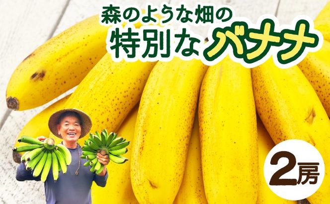 yꌧΊ_sz󏭁I̐guX悤Ȕvō͔|Ãoiiy ꌧ Ί_ Ί_Y oii ΂Ȃ _sgp w엿sgp zOI-16