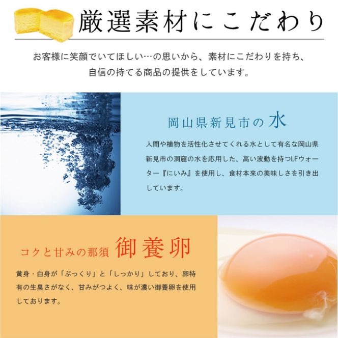 H-26-1 はんなまチーズ10個・はんなまちょこ5個