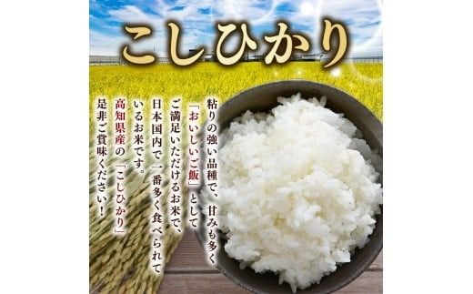 【令和7年産】 米 こしひかり 5kg 10kg 15kg 30kg 60kg 定期便 3ヶ月 6ヶ月 お米 白米 精米 新米 コシヒカリ ごはん ご飯 高知県産 弁当 おにぎり 料理 令和7年 R7年 早場米 超早場米 美味しい 人気 甘み 粘り 日本一 国内消費 全国 大消費地 温暖気候 収穫 栽培 農家 生産者 食卓 農産物 特産品 ブランド米 安芸市 高知県