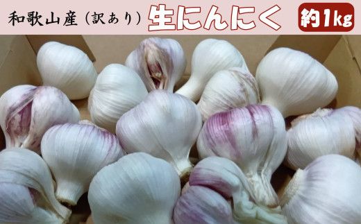 和歌山県産 生にんにく 約1kg　ご家庭用 / 和歌山 ニンニク ※2027年4月下旬～5月中旬頃に順次発送 【tec403-c-1】