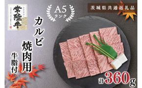 【茨城県共通返礼品・茨城県産】【常陸牛A5ランク】カルビ焼肉用360g（KCK-5）