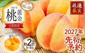 【来年2027年出荷分 先行予約】朝もぎ直送「黄金桃」 マンゴーピーチ 5～8玉 約2kg規格箱入り【高機能共選機使用】選び抜かれた桃《もも 先行予約》 山梨県産 モモ / フルーツ 果物 くだもの 人気 産地直送/厳選  贈答 贈り物【tab0098】