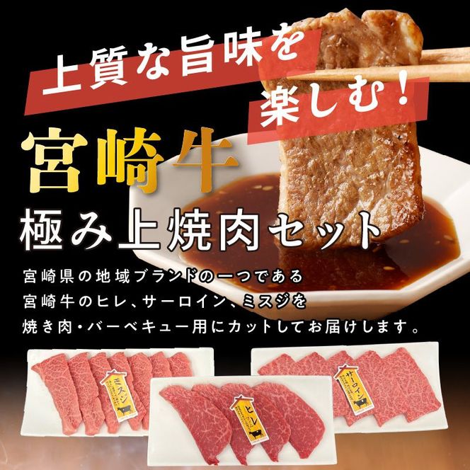 宮崎牛極み上焼肉セット 合計 300g　N0140-YB086