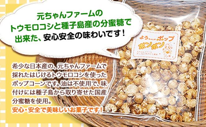 ポップコーンポンポン 元ちゃんファーム《30日以内に出荷予定(土日祝除く)》 和歌山県 紀の川市 トウモロコシ 菓子 ポップコーン 送料無料---wsk_gncpcpp_30d_22_14000_300g---