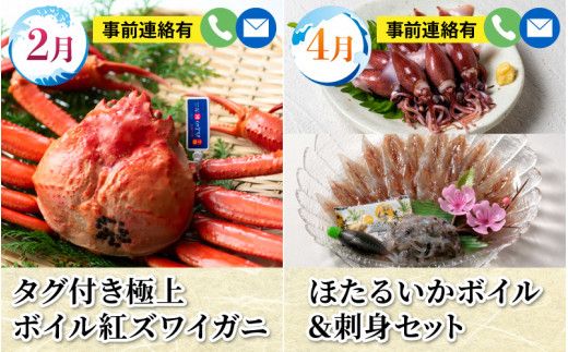 【数量限定】富山湾の恵がつまった カネツル旬の定期便（ホタルイカ、紅ズワイガニ、えび、ぶり、国産うなぎ）【(有)カネツル砂子商店】