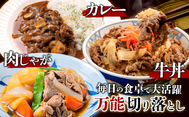 宮崎県産 黒牛 切り落とし 300g（1パック） 赤身 牛肉 切り落とし 肉 お肉 牛 国産牛 小分け 真空パック  冷凍 贈答 ギフト 人気 国産 えびの市