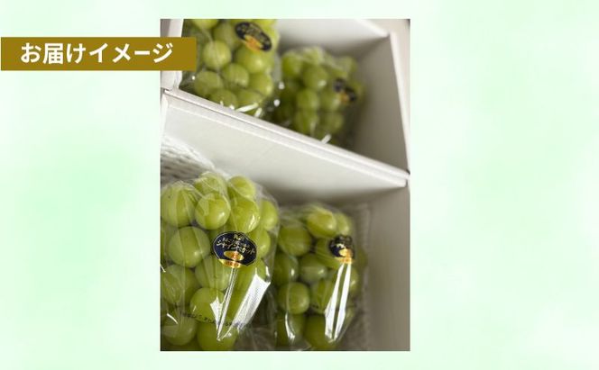 シャインマスカット晴王 岡山県産 約1kg(2房) 果物 フルーツ ぶどう ブドウ 葡萄 国産 岡山