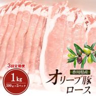 【3回定期便 奇数月お届け】香川県産オリーブ豚ロース1kg(500g×2p) 豚肉 肉 お肉 香川 香川県 東かがわ市